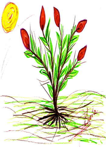 Desenho_Projeto_Acolhimento