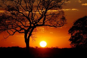 Projeto Acolhimento por do sol