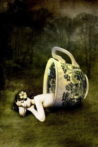 Maturidade_Catrin_Stein