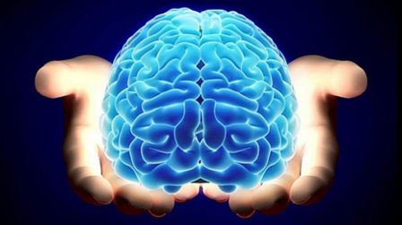 cerebro_portaldamaturidade_medicina_integrativa